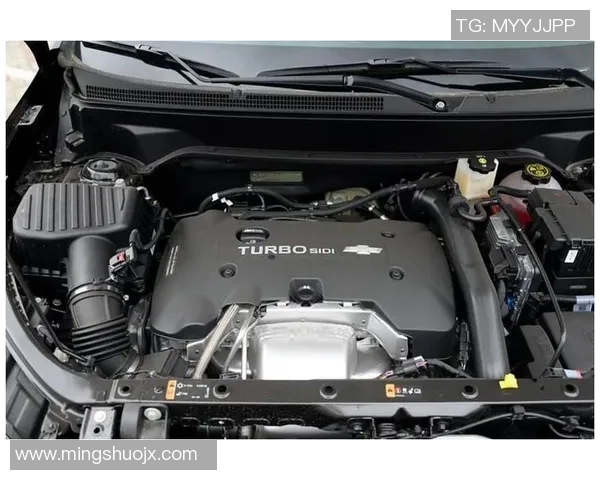 王蔷与德拉奎尔激战正酣谁能在这场对决中笑到最后